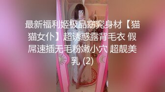 最新福利姬极品窈窕身材【猫猫女仆】超诱惑露背毛衣 假屌速插无毛粉嫩小穴 超靓美乳 (2)