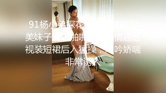 91杨小弟探花约了个花裙甜美妹子酒店啪啪，换上情趣透视装短裙后入猛操，呻吟娇喘非常诱人