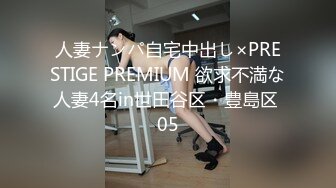 人妻ナンパ自宅中出し×PRESTIGE PREMIUM 欲求不満な人妻4名in世田谷区・豊島区 05