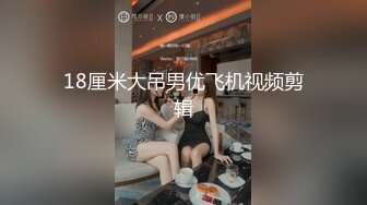 18厘米大吊男优飞机视频剪辑