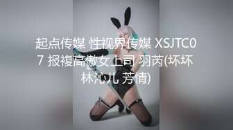 起点传媒 性视界传媒 XSJTC07 报複高傲女上司 羽芮(坏坏 林沁儿 芳情)