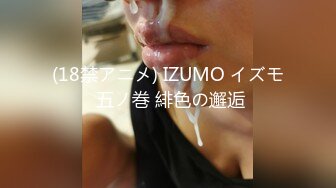 (18禁アニメ) IZUMO イズモ 五ノ巻 緋色の邂逅